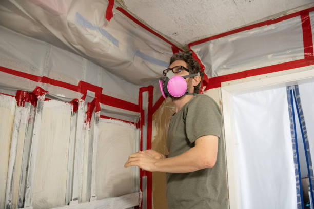  Park Rapids, MN Mold Removal Pros