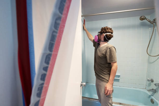Best Black Mold Removal  in Park Rapids, MN