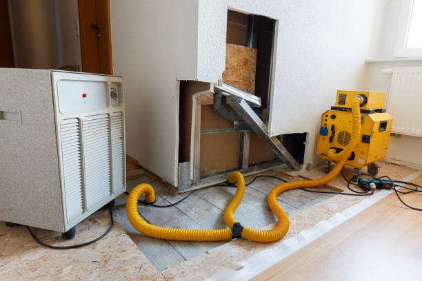 Best Residential Mold Inspection & Testing  in Park Rapids, MN